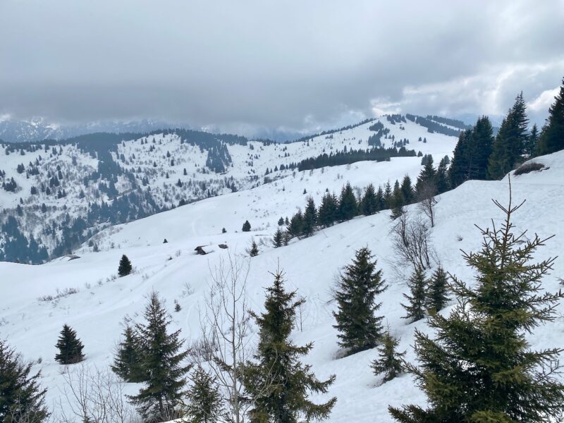 Val d'Arly, France. Image © PlanetSKI